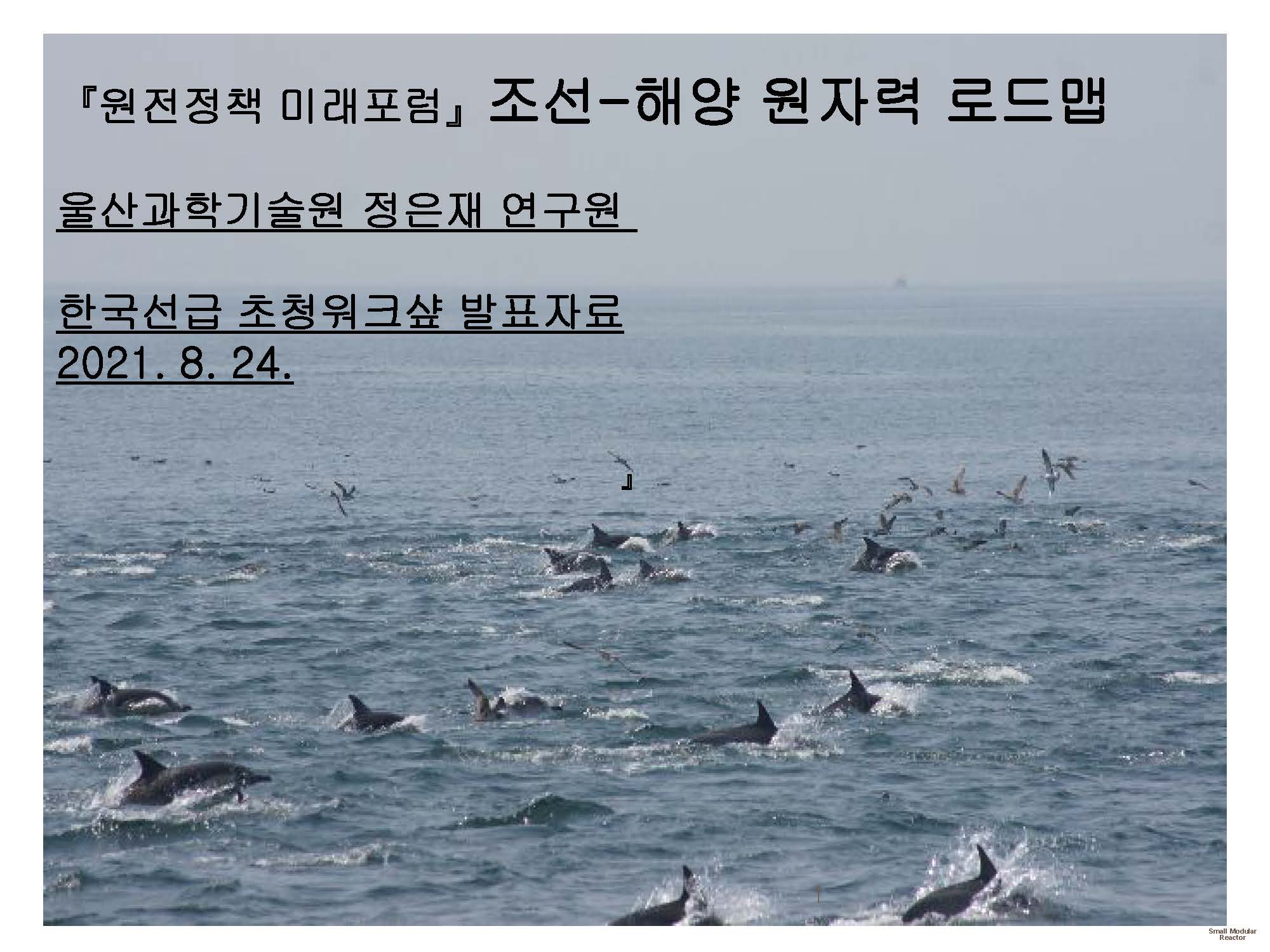 조선ㆍ해양 원자력 로드맵