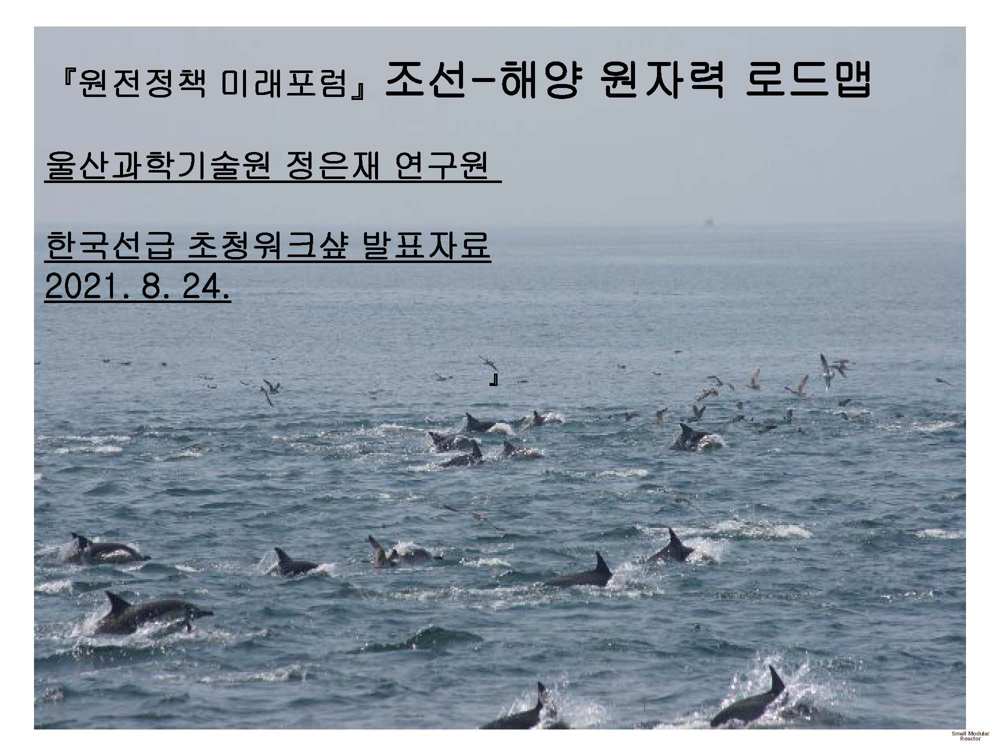 조선ㆍ해양 원자력 로드맵